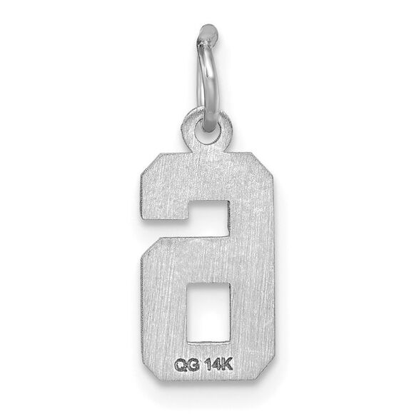 14k White Gold, Varsity Collection, Small D/C Pendant, Number 6 - Picture 3 of 5